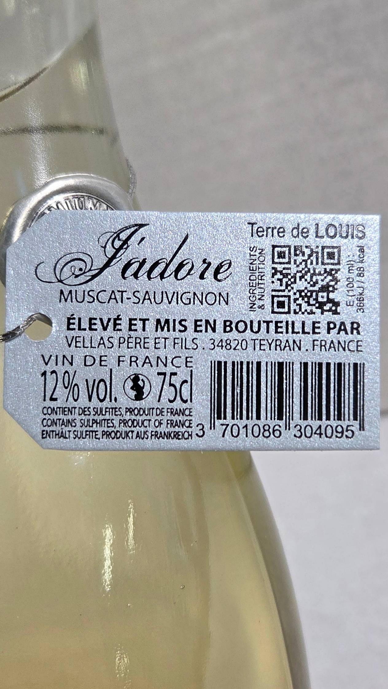 Terre De Louis - J'adore Muscat- Sauvingnon 2025 vein (Vignobles Vellas) 12% 0,75l - Image 3